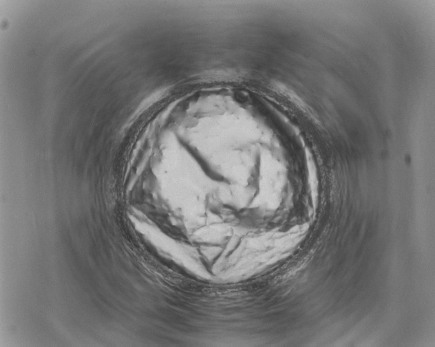 X0000075391213200609291608