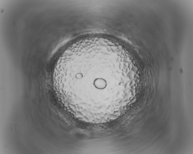 X0000075391255200609291607