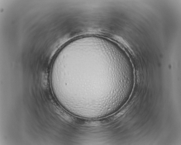 X0000075391260200609291607