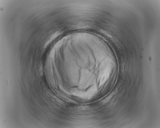 X0000075391306200609291606