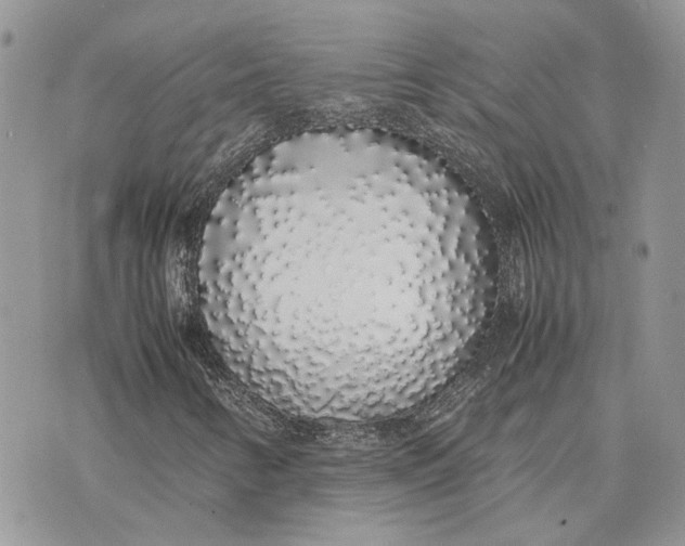 X0000075391346200609291606
