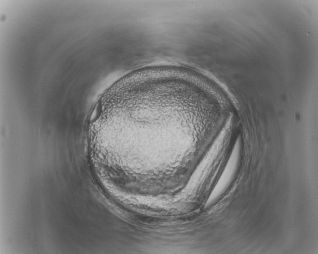 X0000075391367200609291605