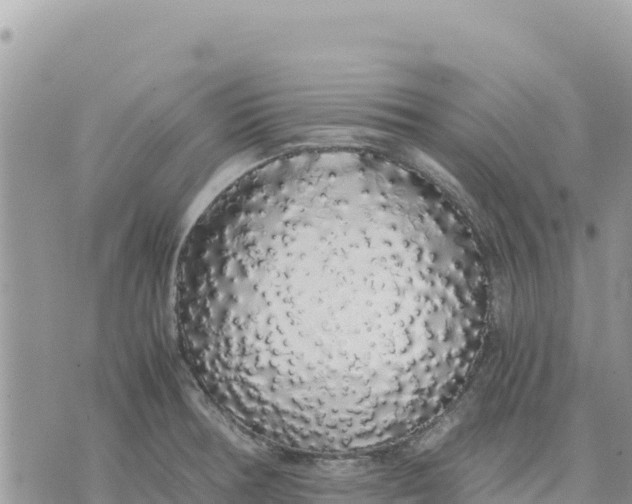 X0000075391378200609291605