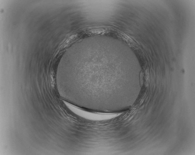 X0000075391394200609291604