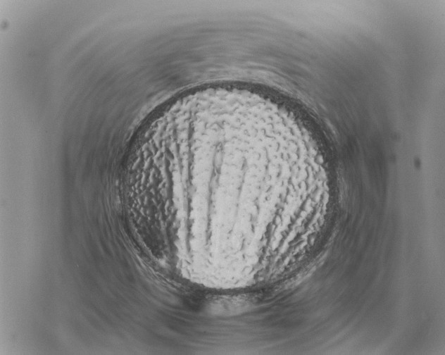 X0000075391497200609291603