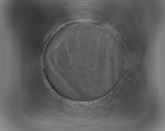 X0000075390002200610061917