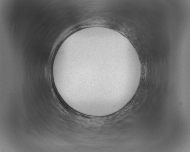 X0000075390004200610061917