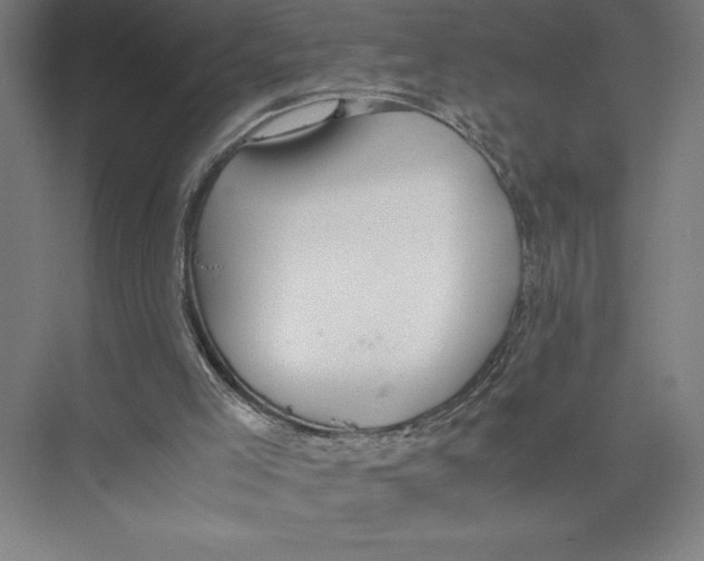 X0000075390005200610061917