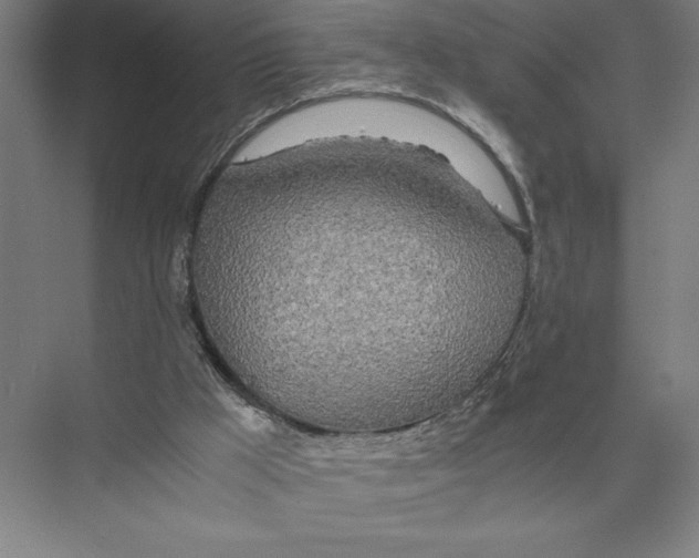 X0000075390009200610061917