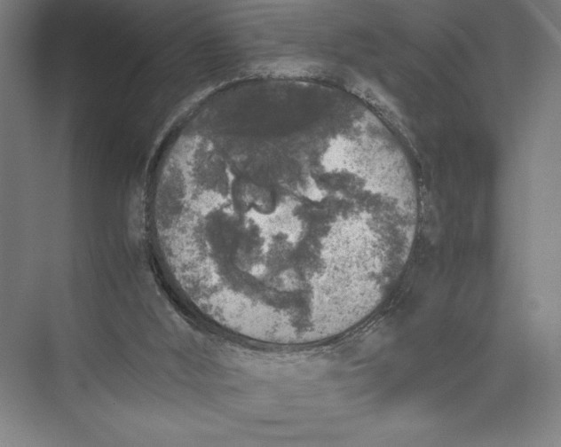 X0000075390012200610061917