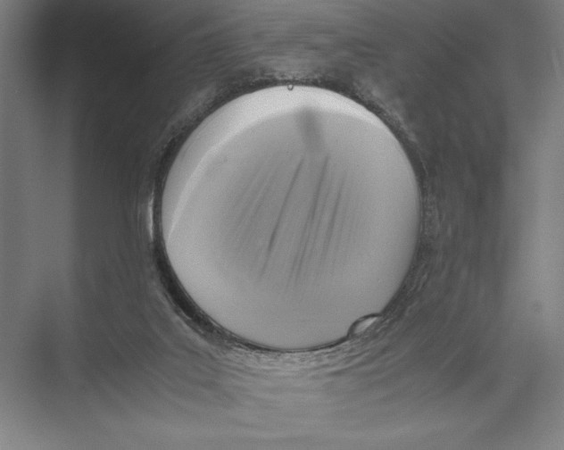 X0000075390019200610061916