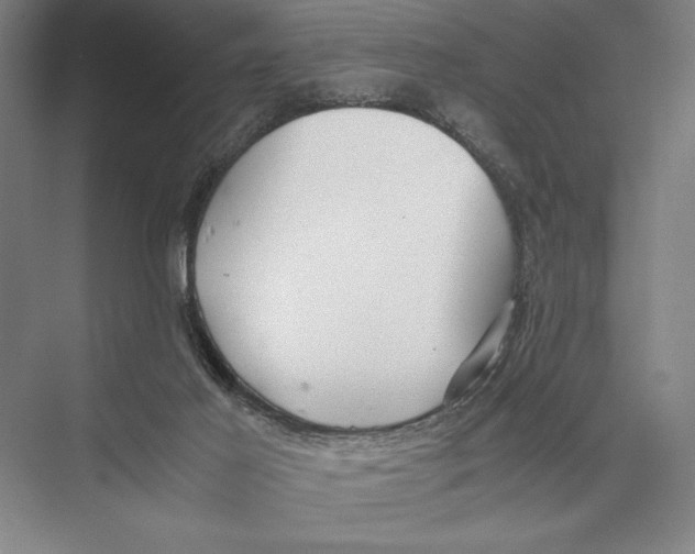 X0000075390021200610061916