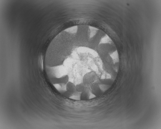 X0000075390022200610061916