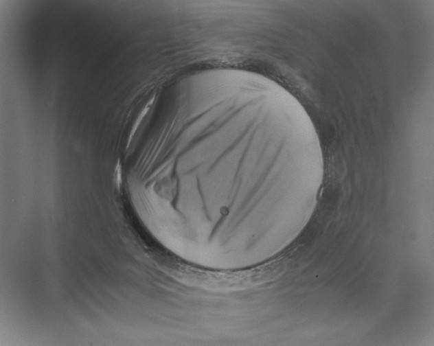X0000075390027200610061916
