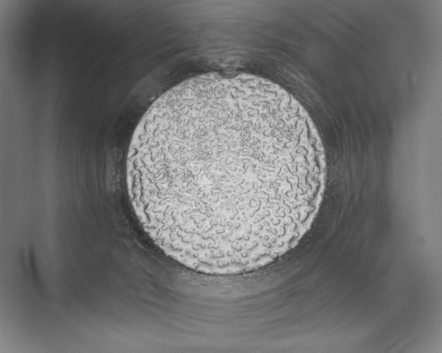 X0000075390030200610061916
