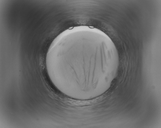 X0000075390031200610061916