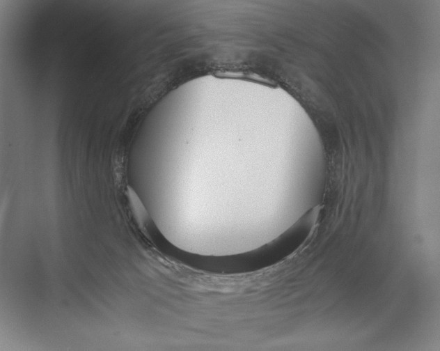 X0000075390033200610061916