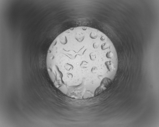 X0000075390034200610061916
