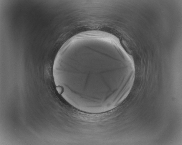 X0000075390035200610061916
