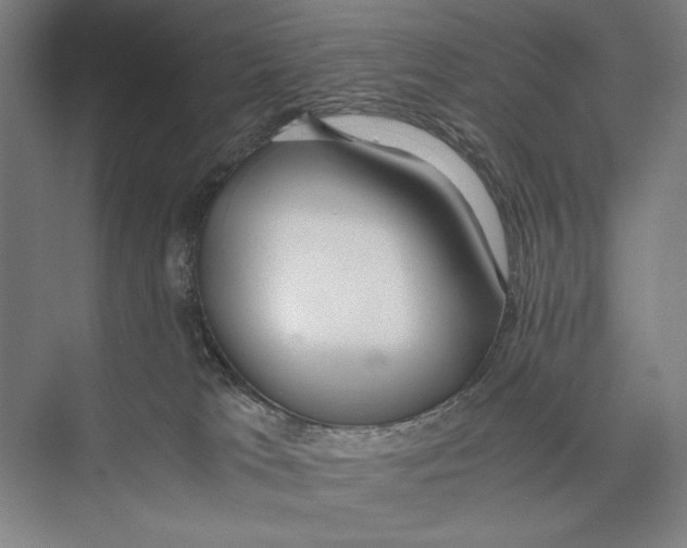 X0000075390037200610061916