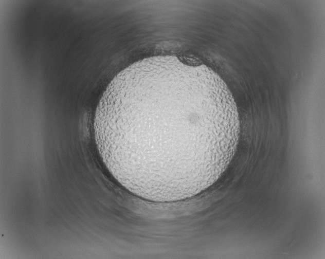 X0000075390038200610061916
