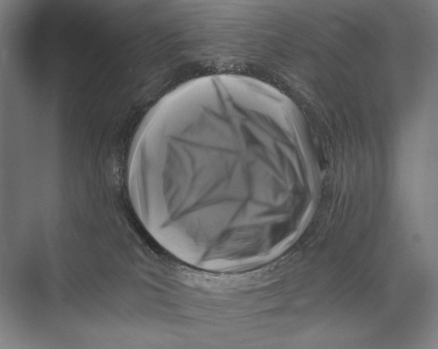 X0000075390039200610061916