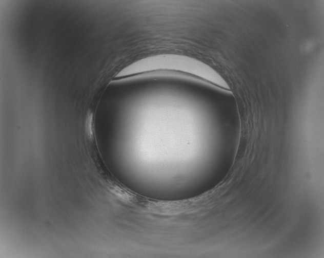 X0000075390041200610061916