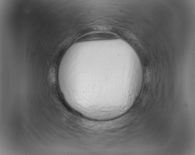 X0000075390043200610061916