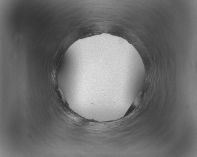 X0000075390045200610061916