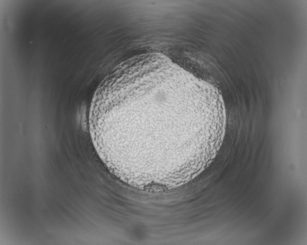 X0000075390046200610061916