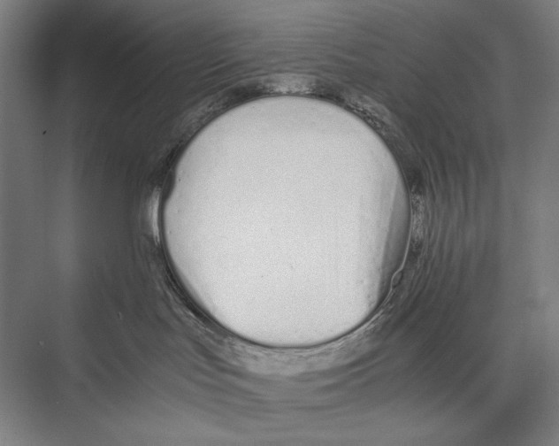 X0000075390047200610061916