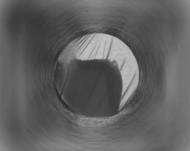X0000075390048200610061916