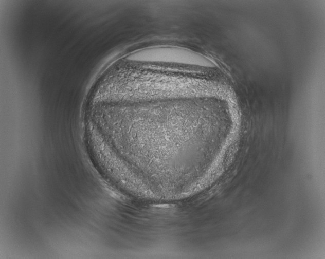 X0000075390053200610061915