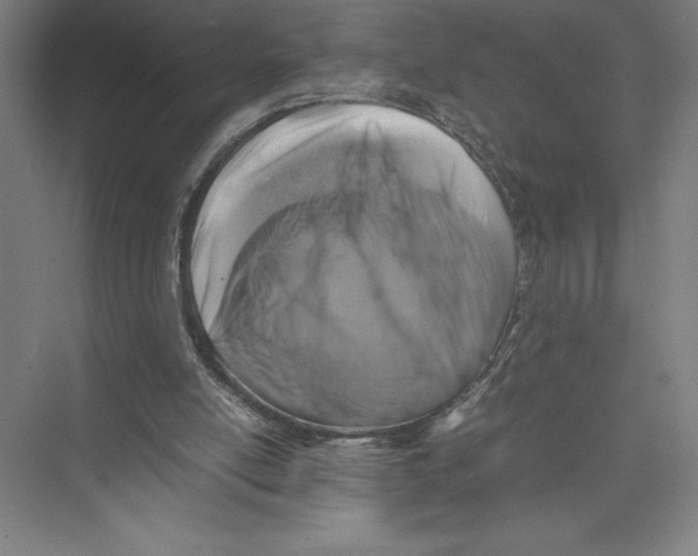 X0000075390054200610061915