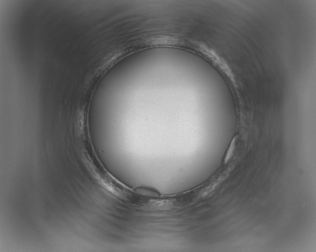 X0000075390057200610061915