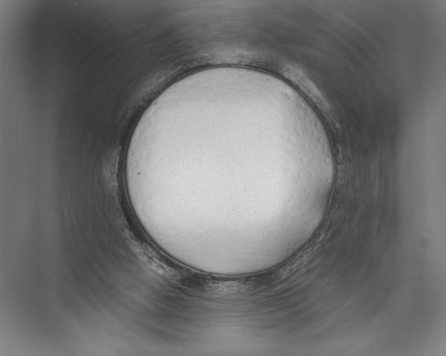 X0000075390058200610061915