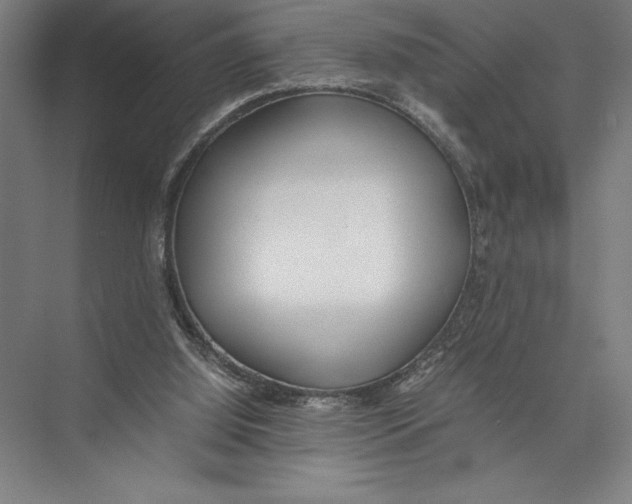 X0000075390060200610061915