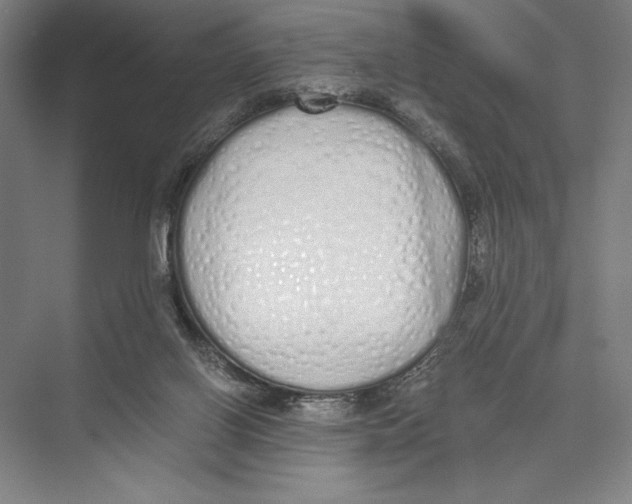 X0000075390070200610061915