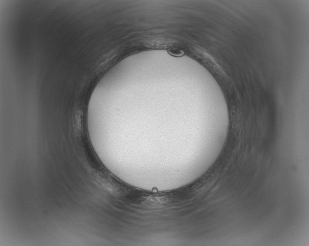 X0000075390071200610061916