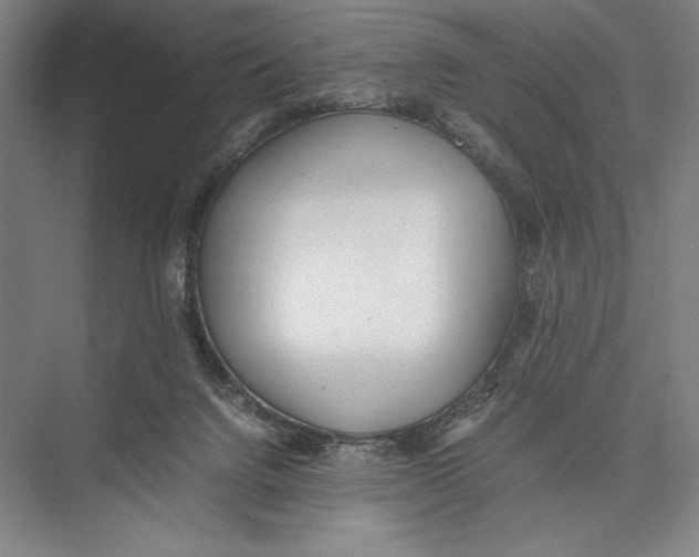 X0000075390072200610061916