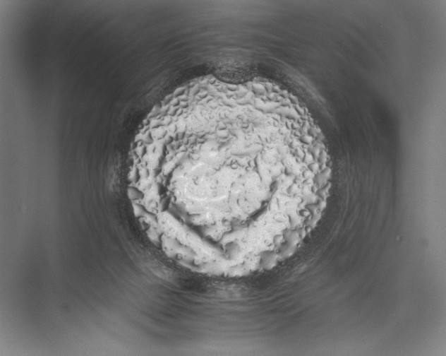 X0000075390073200610061916