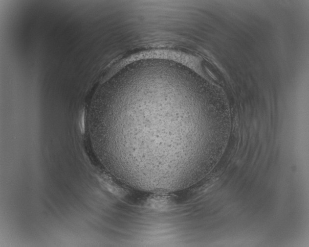 X0000075390076200610061916