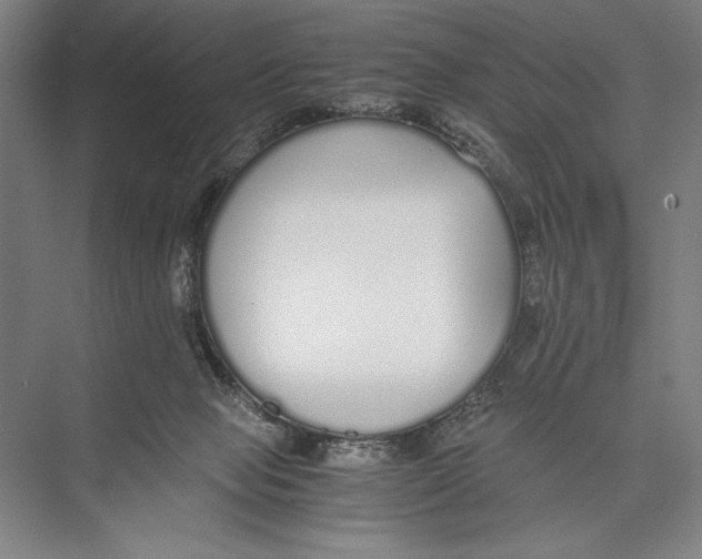 X0000075390077200610061916