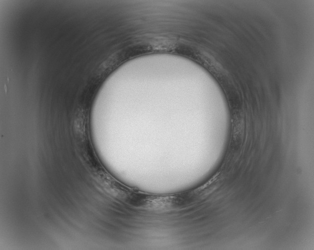 X0000075390078200610061916