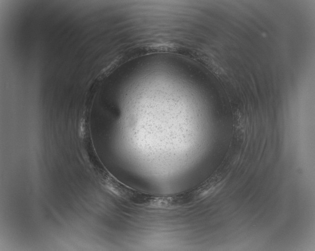 X0000075390080200610061916