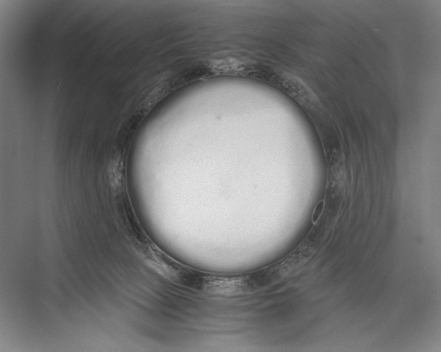 X0000075390081200610061916