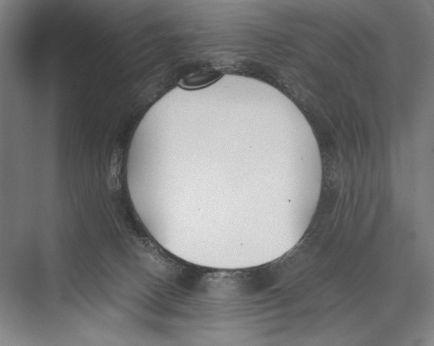 X0000075390082200610061916
