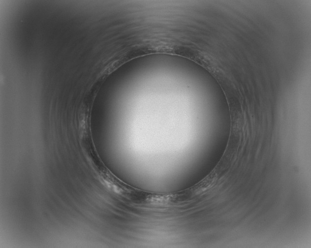 X0000075390084200610061916