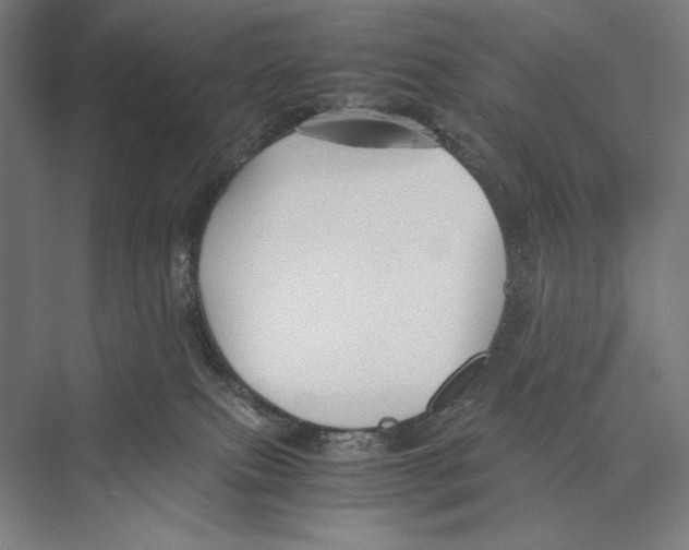 X0000075390087200610061916