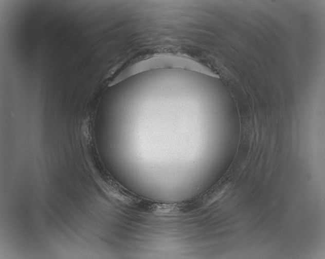 X0000075390088200610061916